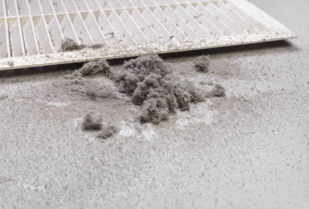 Best Affordable Air Duct Cleaning  in Ocean City, NJ