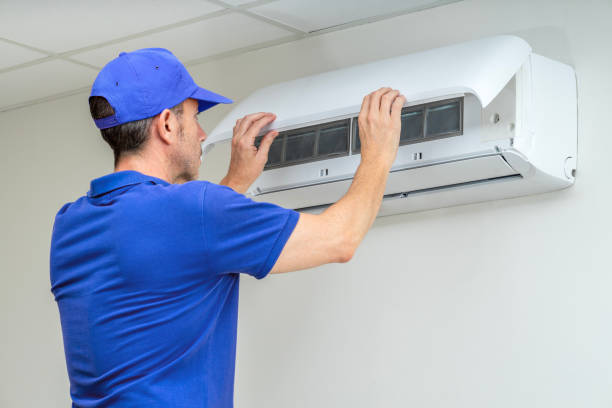 Best Air Duct Mold Removal  in Ocean City, NJ